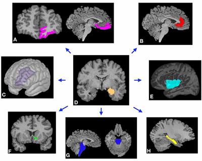 Amygdala Structural Connectivity Is Associated With Impulsive Choice and Difficulty Quitting Smoking